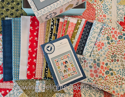 To Each Their Home Quilt Kit